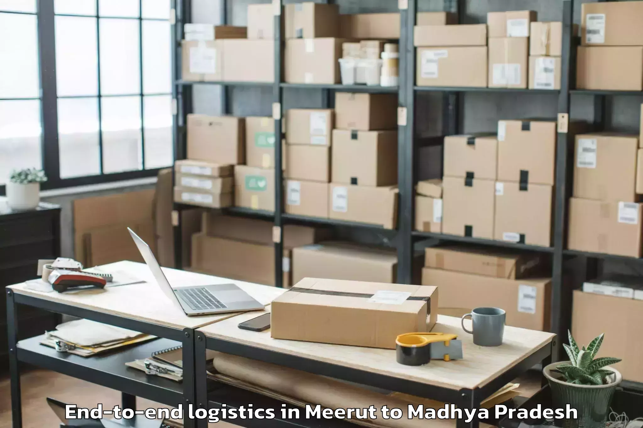 Book Meerut to Manpur End To End Logistics